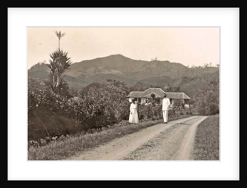 Java, Indonesia tea company Pamegatan in Garut by Anonymous