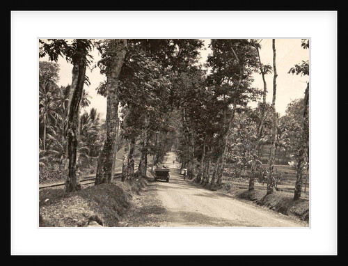 Road between Bander-Negara and Ninisvbo by Anonymous
