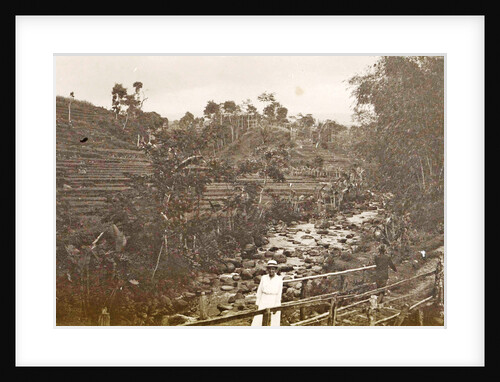Java, Indonesia Ninisvbo with paddy fields and river by Anonymous