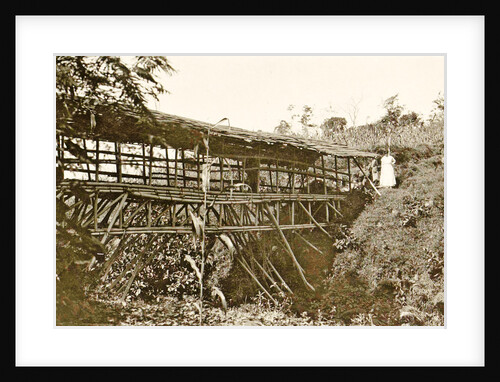 Java Ninisvbo, Indonesia by Anonymous