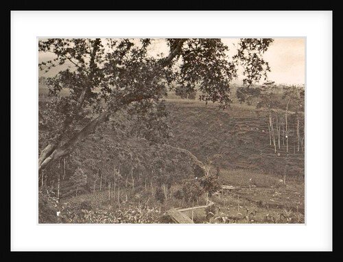 Java, Indonesia Ninisvbo with panorama by Anonymous