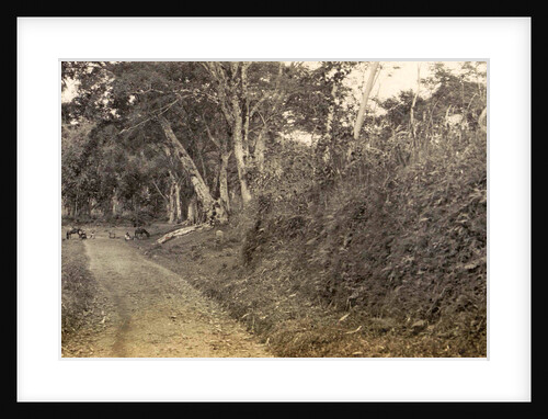 Java, lake of Mindjer with coolies towards plateau Indonesia by Anonymous