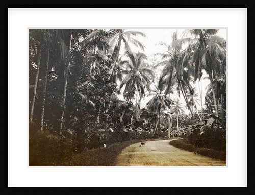 Java, Indonesia, away from Medan to Belawan by Anonymous