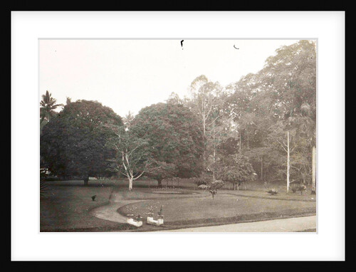 Dutch East Indies, indonesia, Namoe - Trassi garden path by Anonymous