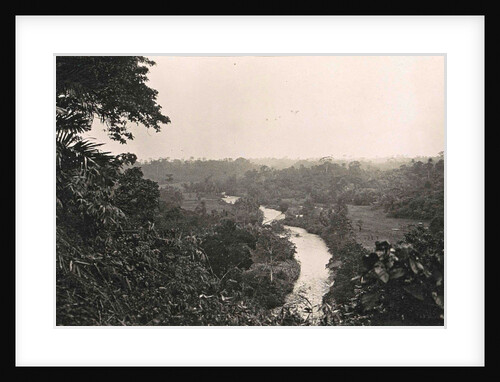 Dutch East Indies, Deli - Tuva garden, Indonesia by Anonymous