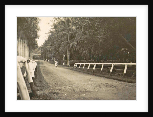 Dutch East Indies, indonesia, driveway Helvetia (Deli Mij) by Anonymous