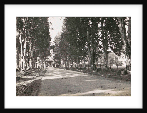 Sumatra indonesia, lane near Heineckens home Medan, Indonesia by Anonymous
