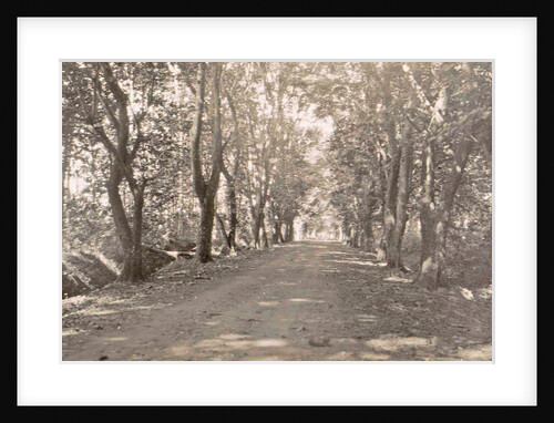 Sumatra indonesia, Medan and Amplas avenue, Indonesia by Anonymous