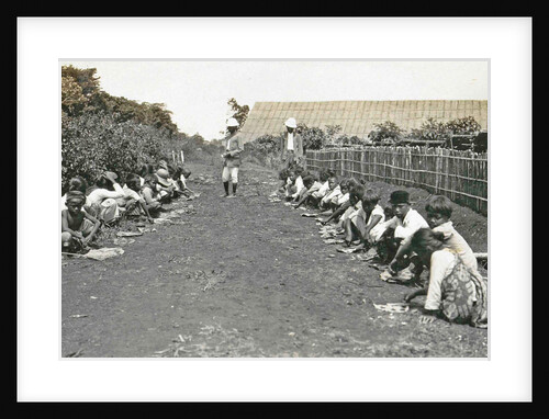 Sumatra indonesia, caterpillars seeking children under supervision by Anonymous