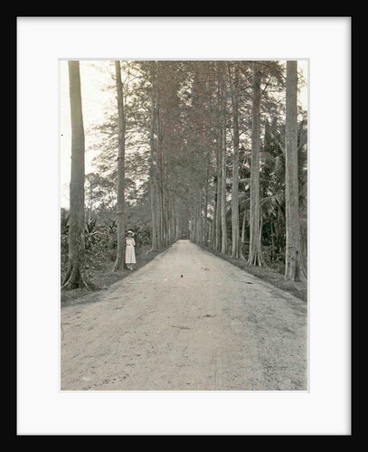 Sumatra indonesia, down with woman on the roadside by Anonymous