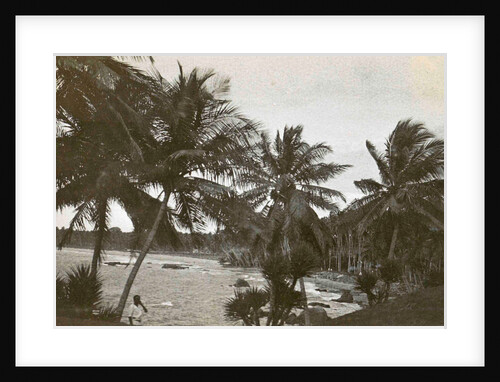 Ceylon, palm beach Mount Levinia in Colombo Sri Lanka by Anonymous