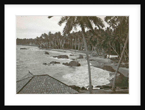 Ceylon, palm beach Mount Levinia in Colombo, Sri Lanka by Anonymous