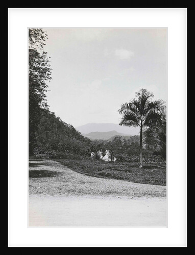 Batang Toro, Loeboek Rajah, Indonesia by Anonymous