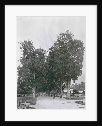 Padang Sidempoean road by Anonymous