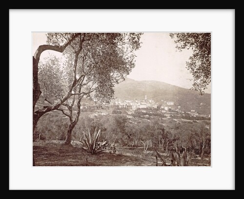 Grasse, view between the olive trees, c. 1890 - c. 1900 by GJ