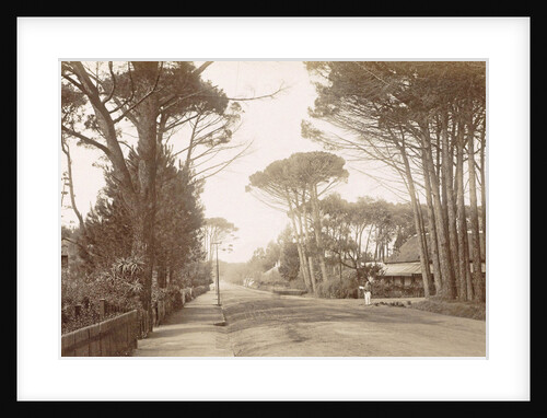 On the Main Road at Wynberg by GWW