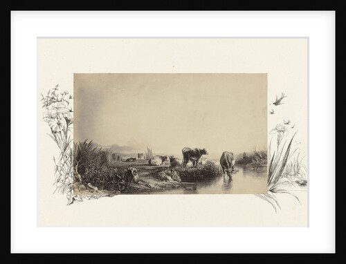 engraving of Dutch landscape with cows lined with drawing water flora by Anonymous