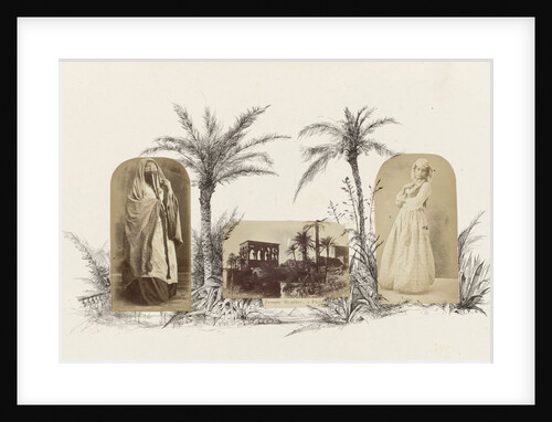 Egypt, genre portrait veiled woman, surrounded by palm trees by Anonymous