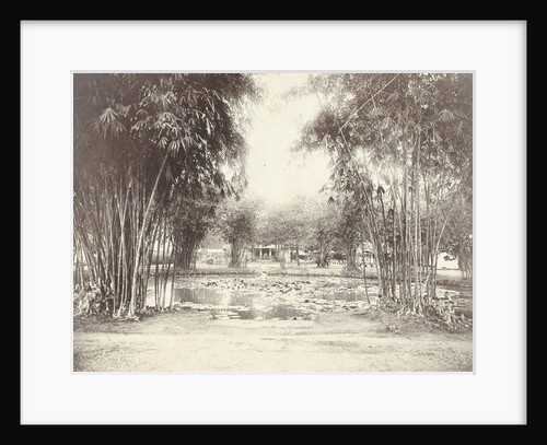Bamboo Garden and pond with a house by Anonymous