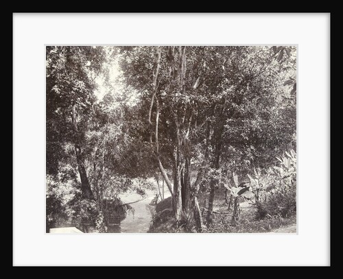 Woman with umbrella on chair in forest or park by Anonymous