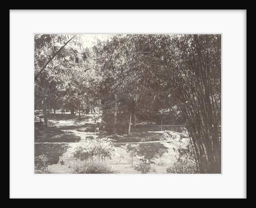 View of garden or park in the Dutch East Indies, indonesia by Anonymous