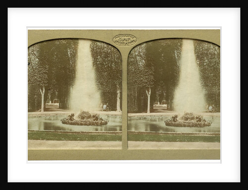 Queen of Flowers Parc de Versailles France by Florent Grau