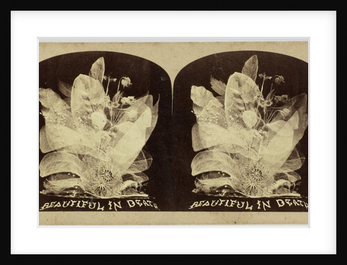 Beautiful in Death by The London Stereoscopic Company