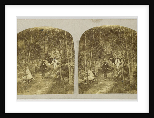 hikers in Pinery by Anonymous