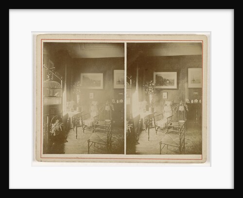 Interior with birdcage by Anonymous