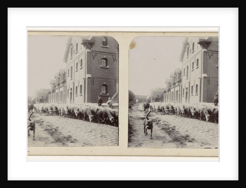 Herd of sheep being guided by a dog by Anonymous