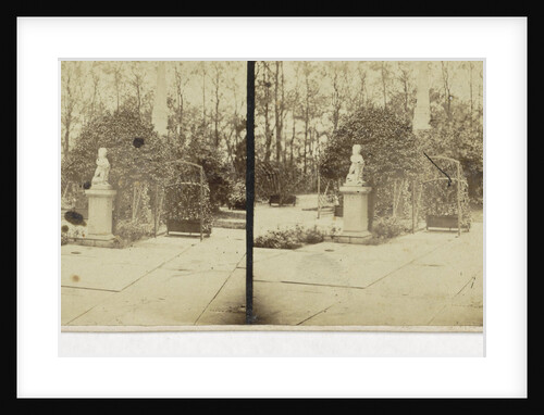 Oak Dunes by Anonymous