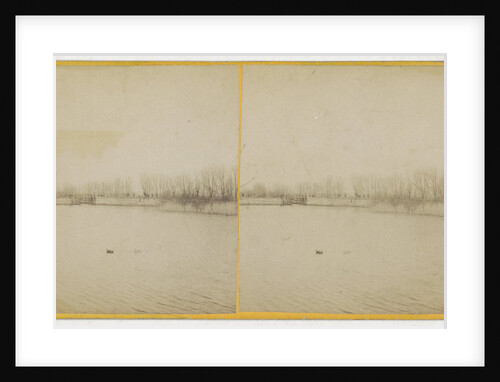 Duck cage by Johannes W. Merkelbach & Co