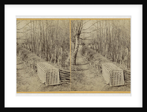 Duck cage by Johannes W. Merkelbach & Co