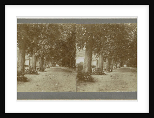 Netherlands, Monnikendam avenue of trees by Anonymous