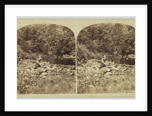 View in the Devil's Glen, County Wicklow, Ireland by Anonymous