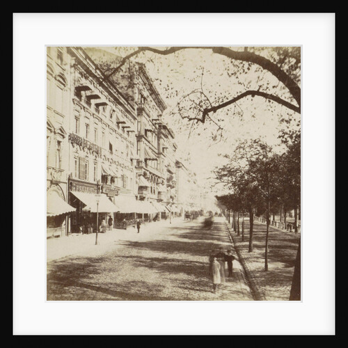 Unter den Linden Berlin by Johann Friedrich Stiehm