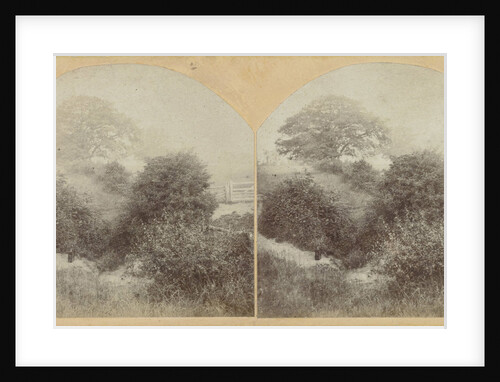 In Prestbury Park near Cheltenham UK by E. Fixon