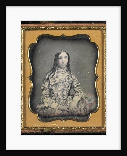 Portrait of a Young Woman by Andrew Wemple van Alstin