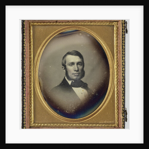 Portrait of a man with sideburns by John Adams Whipple