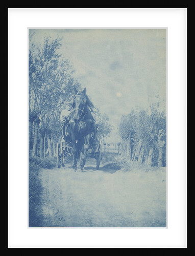 Young man in horse cart by Anonymous