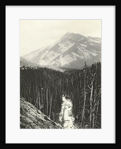 View over Kicking Horse Canyon by William Notman