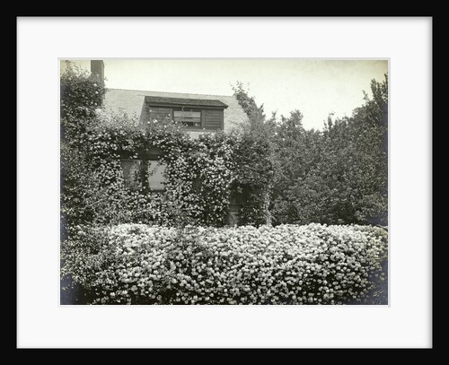 Garden and house overgrown with roses by Anonymous