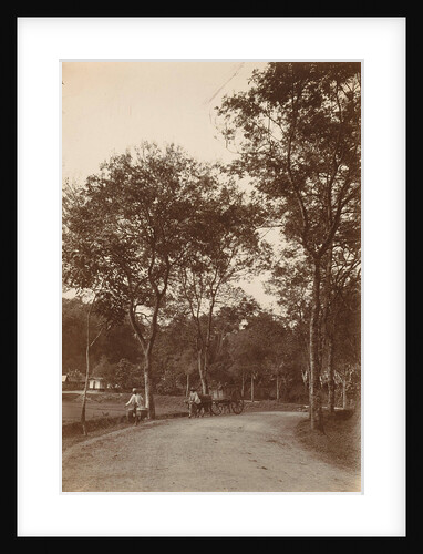 in the Dutch East Indies, indonesia by Anonymous