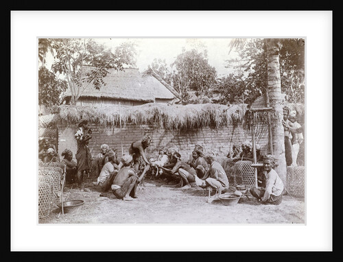 Cockfight in Bali, Indonesia by Anonymous