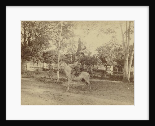 Buginese hunter in traditional clothes horse by Anonymous