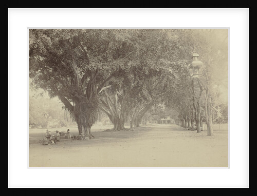 Street with large trees and sellers in Indonesia by Anonymous