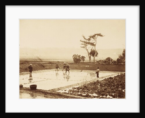 Farmers sow rice in the rice fields in Japan by Anonymous