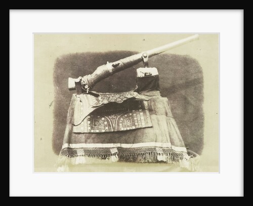 Camel Gun India by Hugh Owen