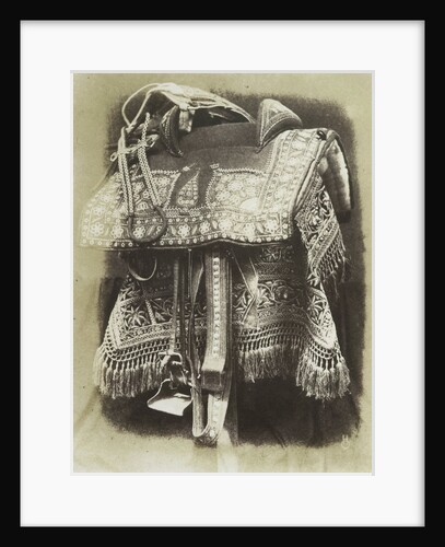 Embroidered Saddle by Hugh Owen