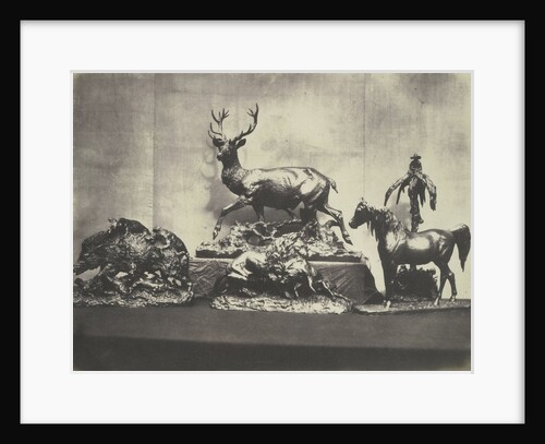 Castings of Animals by C.M. Ferrier & F. von Martens